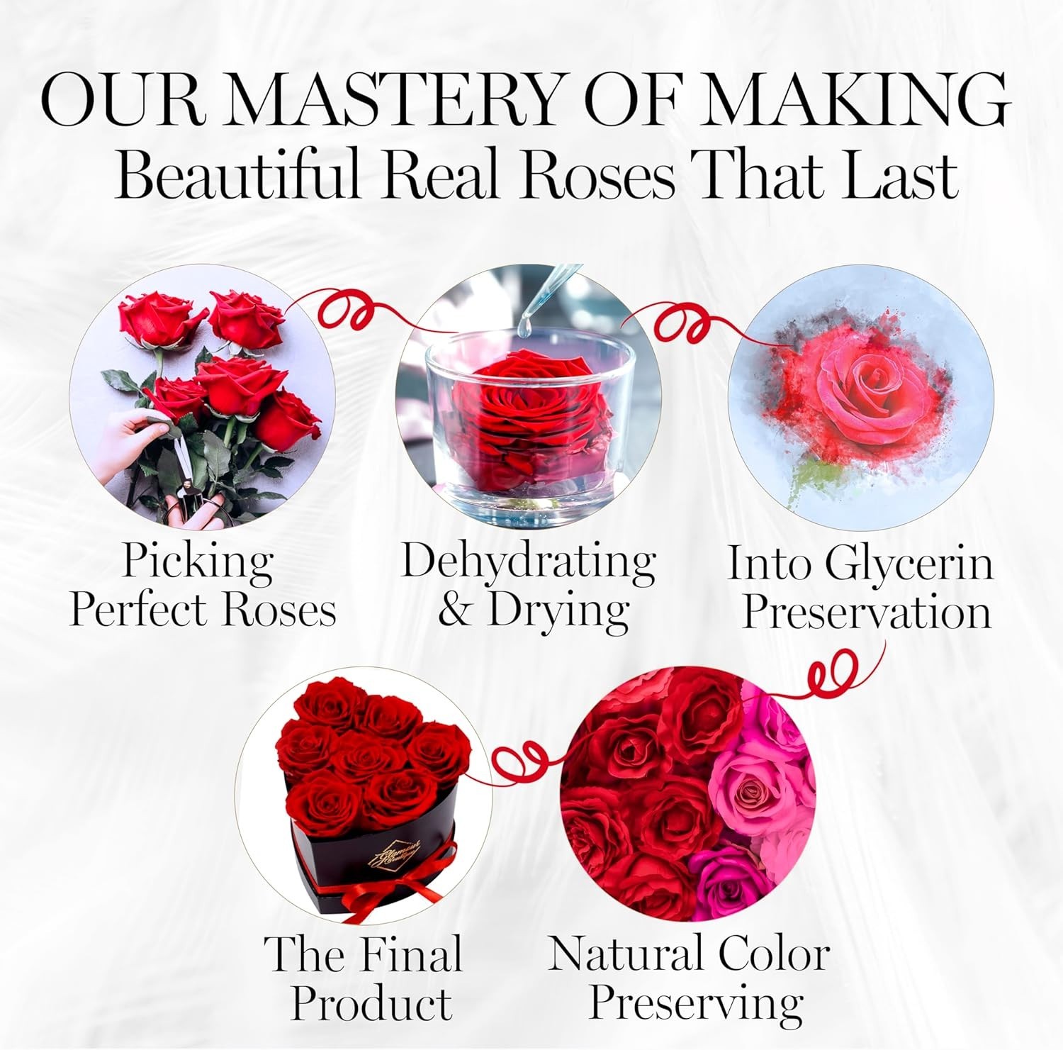 Eternal 7 Red Roses in Heart Box – Luxurious Gift for All Occasions