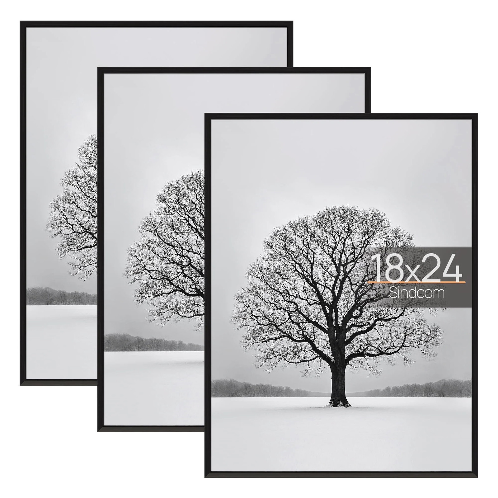 Picture Frames 3-Pack Posters 11×17, 16×20, 16×24, 18×24, 20×30, 24×24, 24×36