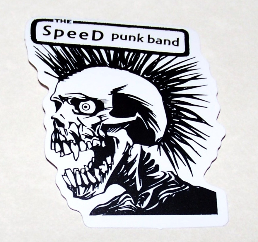 PUNK BAND – Skull Logo Die Cut Sticker Decal Music Band Rock Speed Punk Band