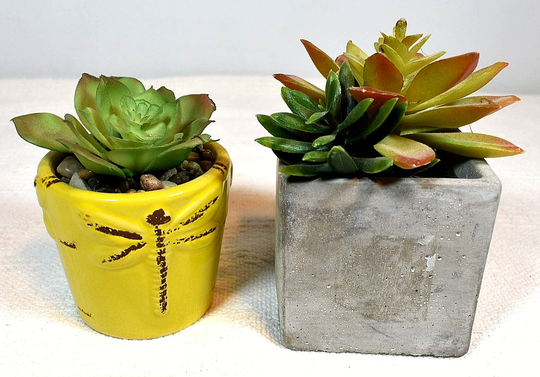 ARTIFICIAL SUCCULENT PLANTS, Set of 2 In Pots, Echeveria & Echeveria/Jade Mix