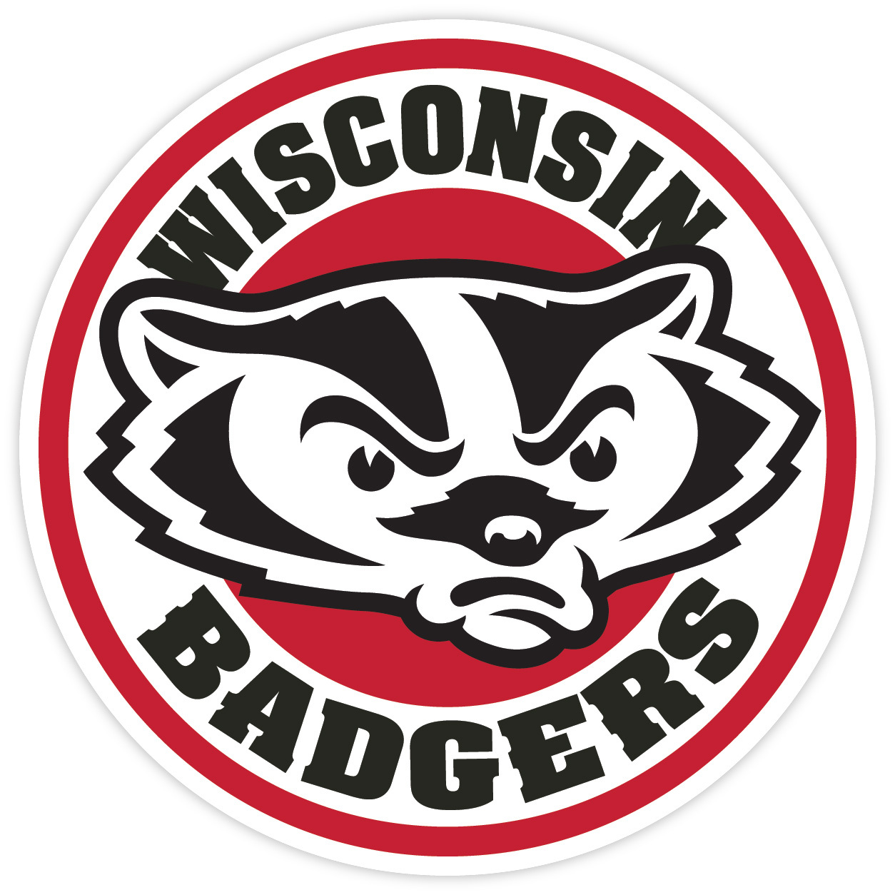 Wisconsin Badgers Vinyl Sticker Decal **MANY SIZES** Cornhole Truck Car Wall