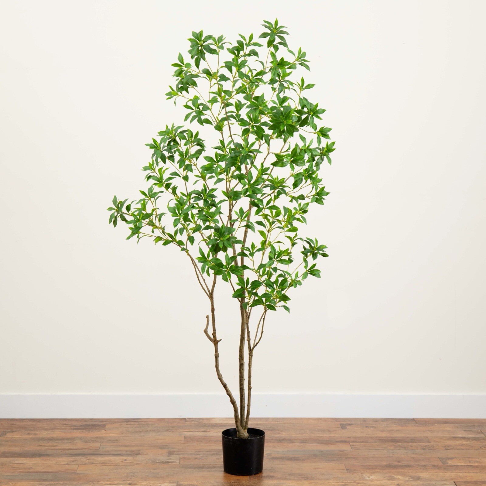 7’ Artificial Minimalist Japanese Pieris Tree w/Real Touch Leaves. Retail $309