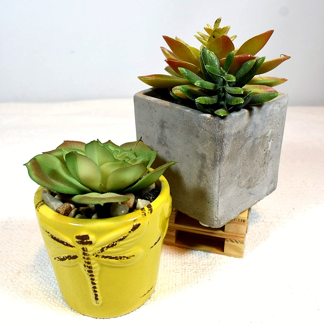 ARTIFICIAL SUCCULENT PLANTS, Set of 2 In Pots, Echeveria & Echeveria/Jade Mix