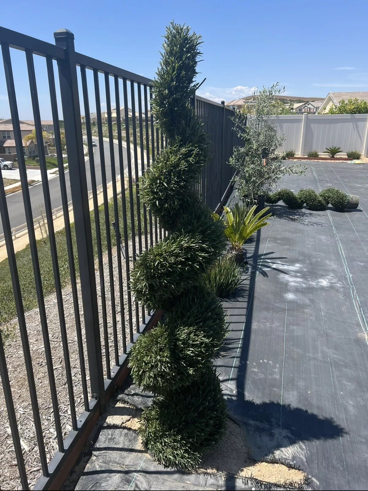 6’ Artificial Rosemary Topiary Spiral Tree UV Resistant Indoor/Outdoor.