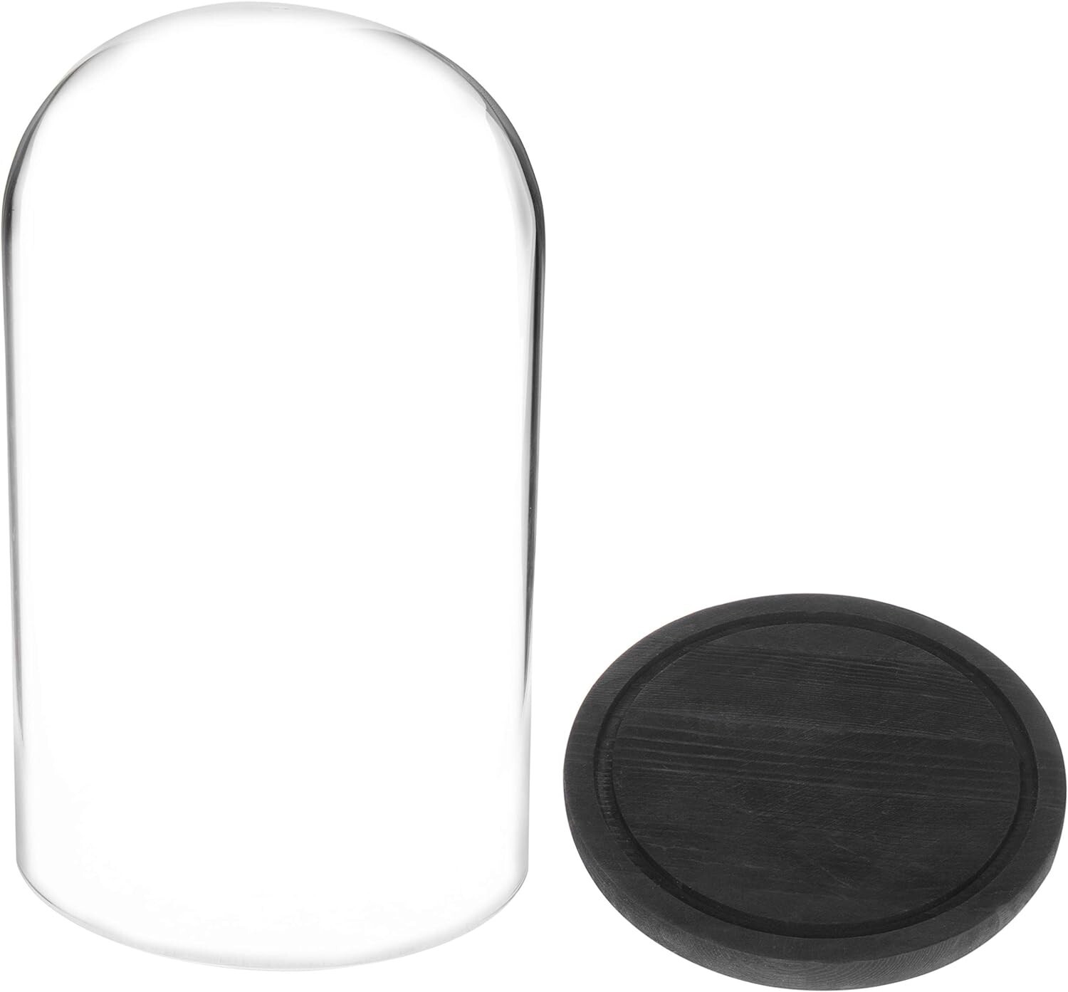 6 x 10 Inches Clear Glass Cloche Bell Jar Display Case w/ Rustic Black Wood Base