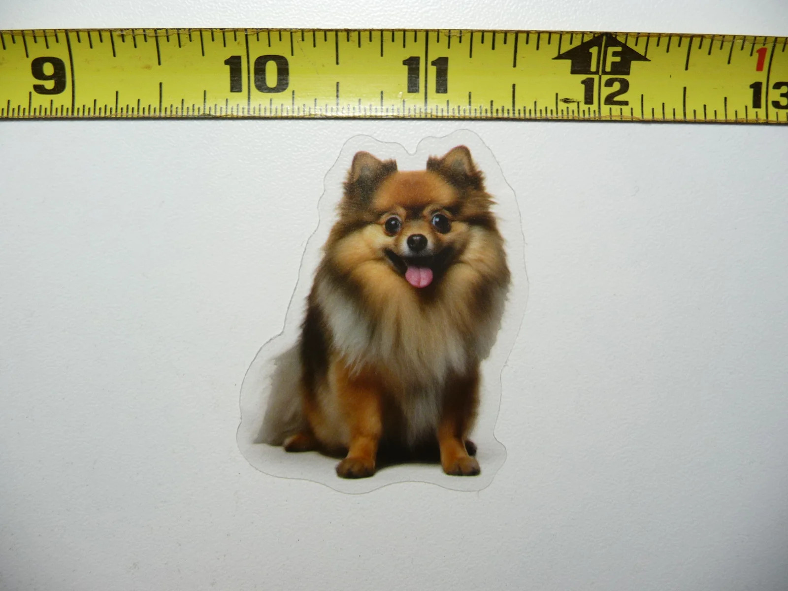 POMERANIAN SITTING DOG SMALL STICKER DECAL PET COLORFUL BEST FRIEND