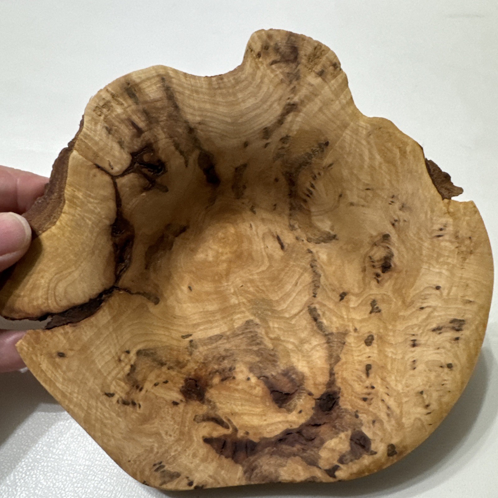 Hand Carved Root Wood Bowl Live Edge & Knot Tree Rustic Bowl Smooth 6.5”