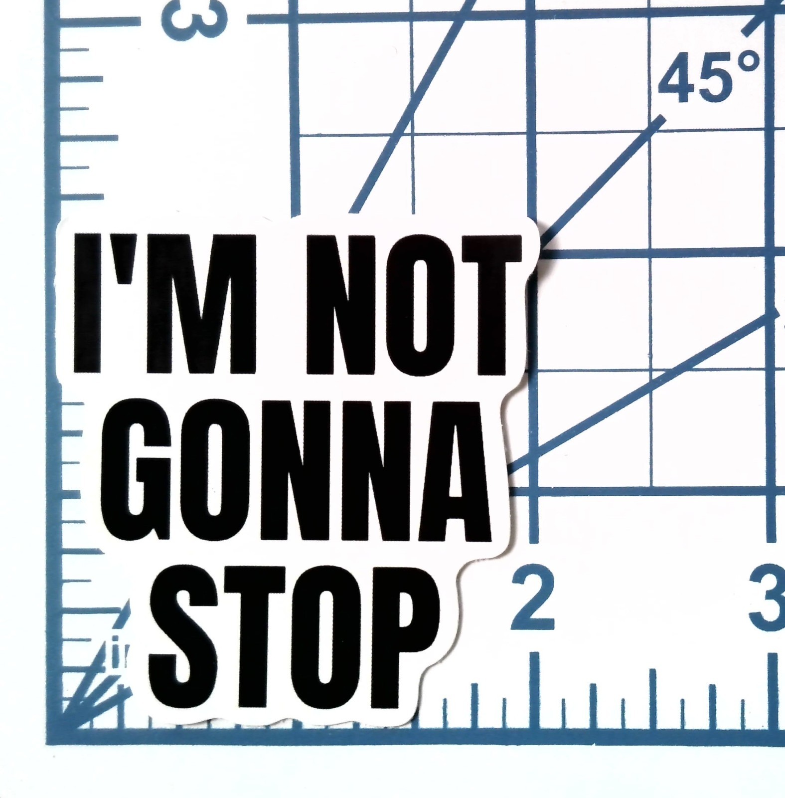 I’m Not Gonna Stop Vinyl Sticker Inspirational Quote Motivational Laptop Decal