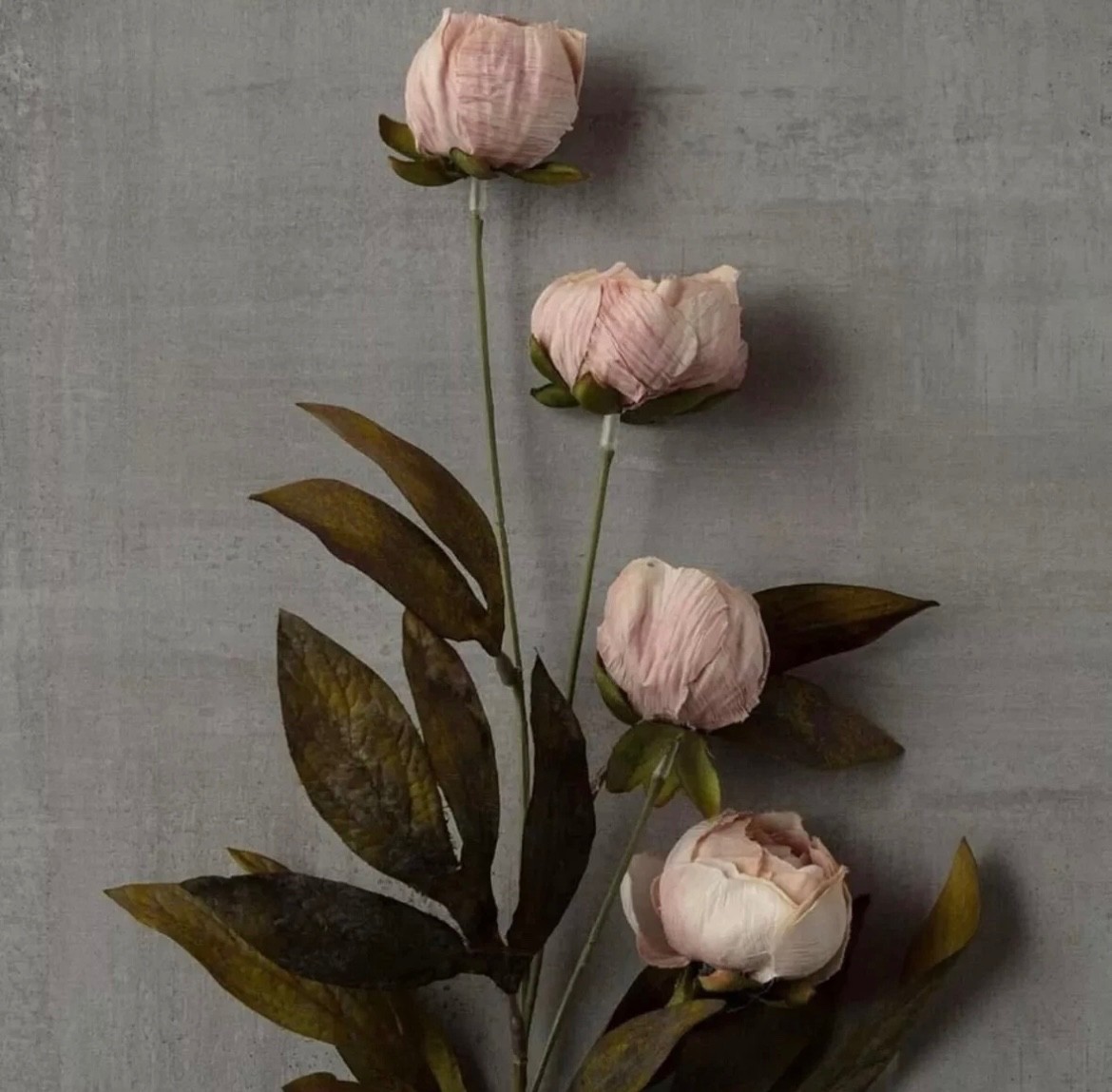 Viral Ashland Michael’s Set of 8 Tan Peony Stems