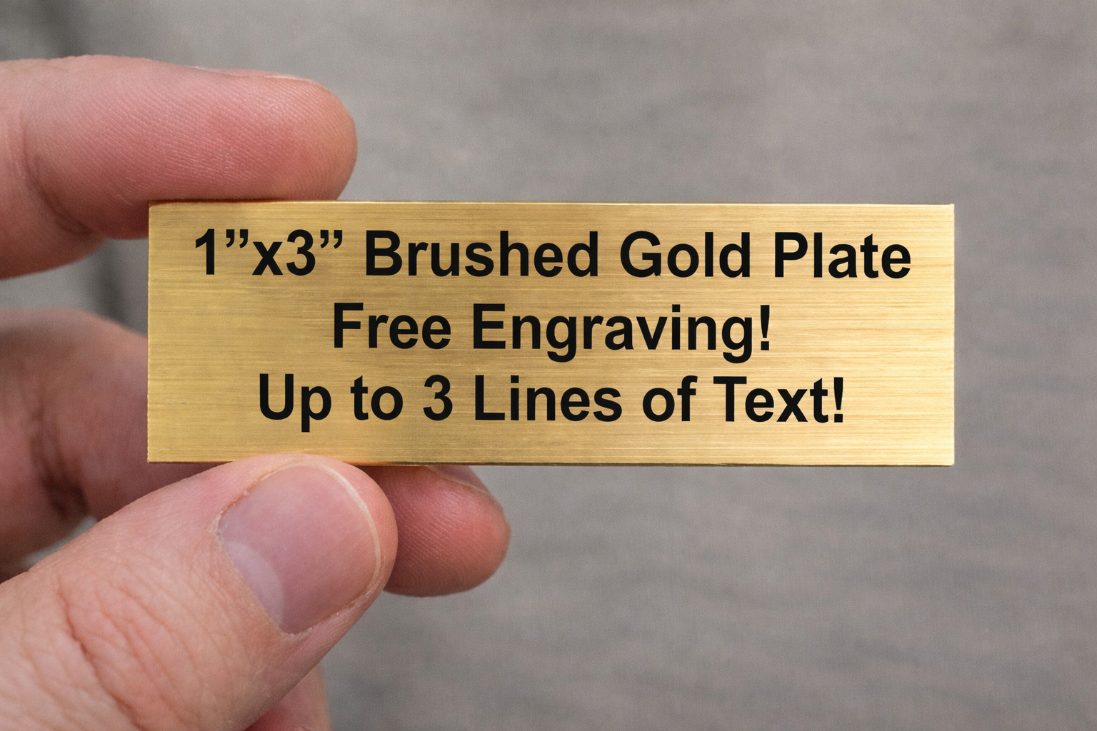 Custom Engraved 1×3 Brushed Tag Sign Plaque Plate | Pet Name Ash Box Urn Gift