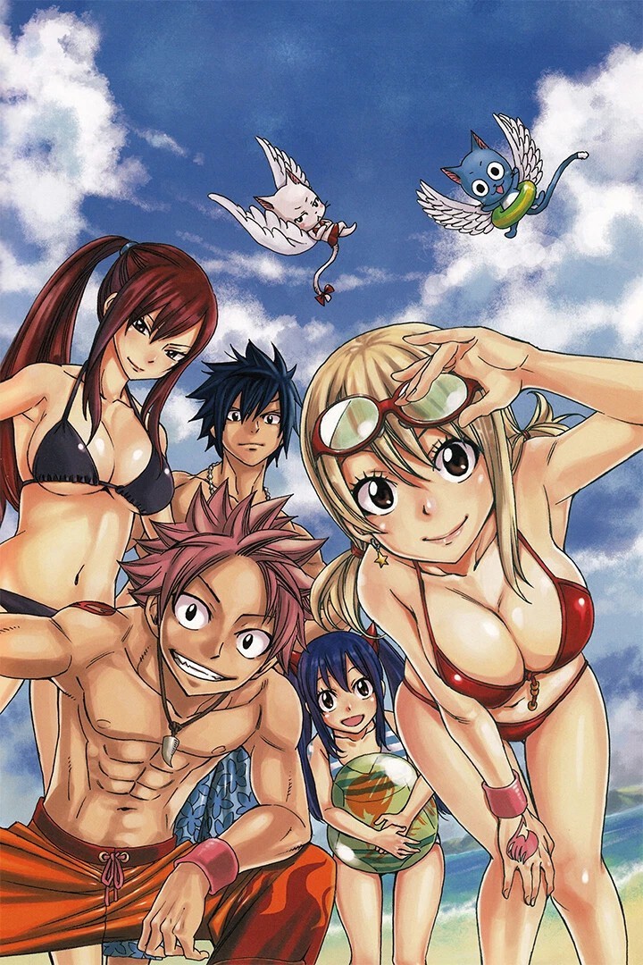 Fairy Tail Characters Anime Poster print 11″x17″ inches home decor
