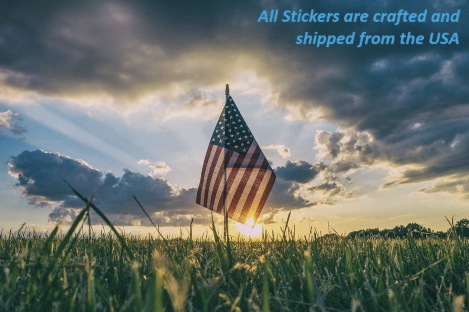 Star Sticker PICK SIZE COLOR Vinyl Decal Military Shape Wall Window Car Truck