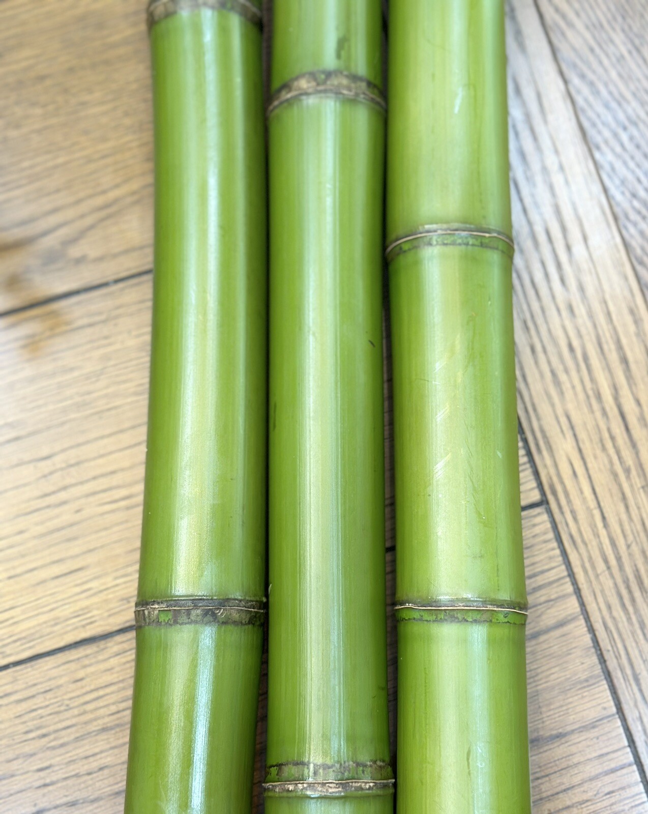 1” Fresh Cut Natural Bamboo For Decor (You Choose Length) 1ft – 8ft
