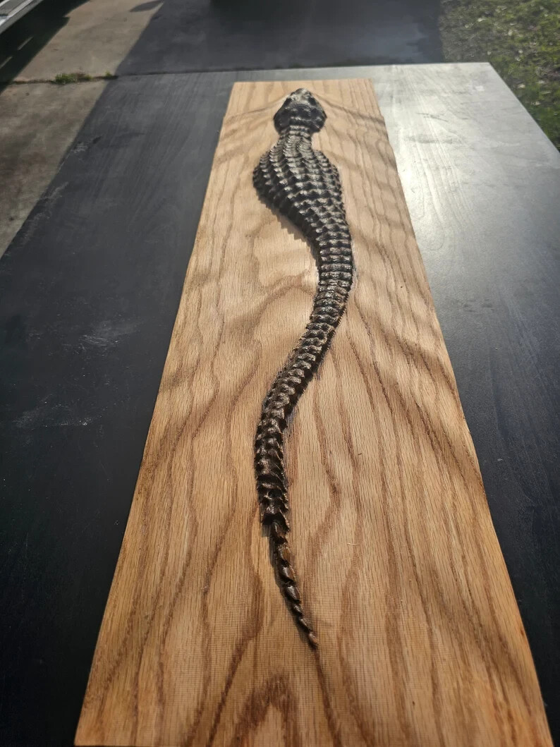 Antique Polished Crocodile, Abstract Wood Sculpture, Modern Wall Decor Art Gift