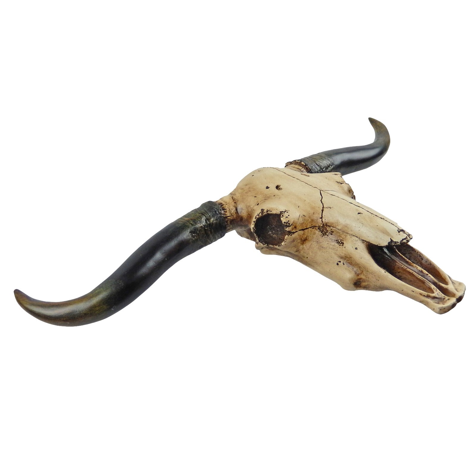 Southwestern Faux Texas Longhorn Skull Steer Rustic Cabin Ranch Decor 20 1/4″