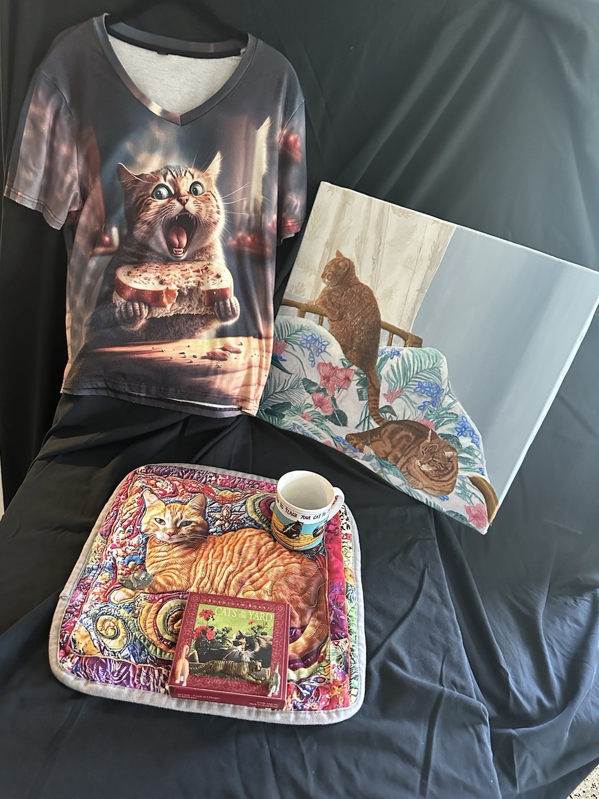 Cat Lovers Starter Kit! Great as a Gift! Cat- T Shirt! Framed Picture! and more!