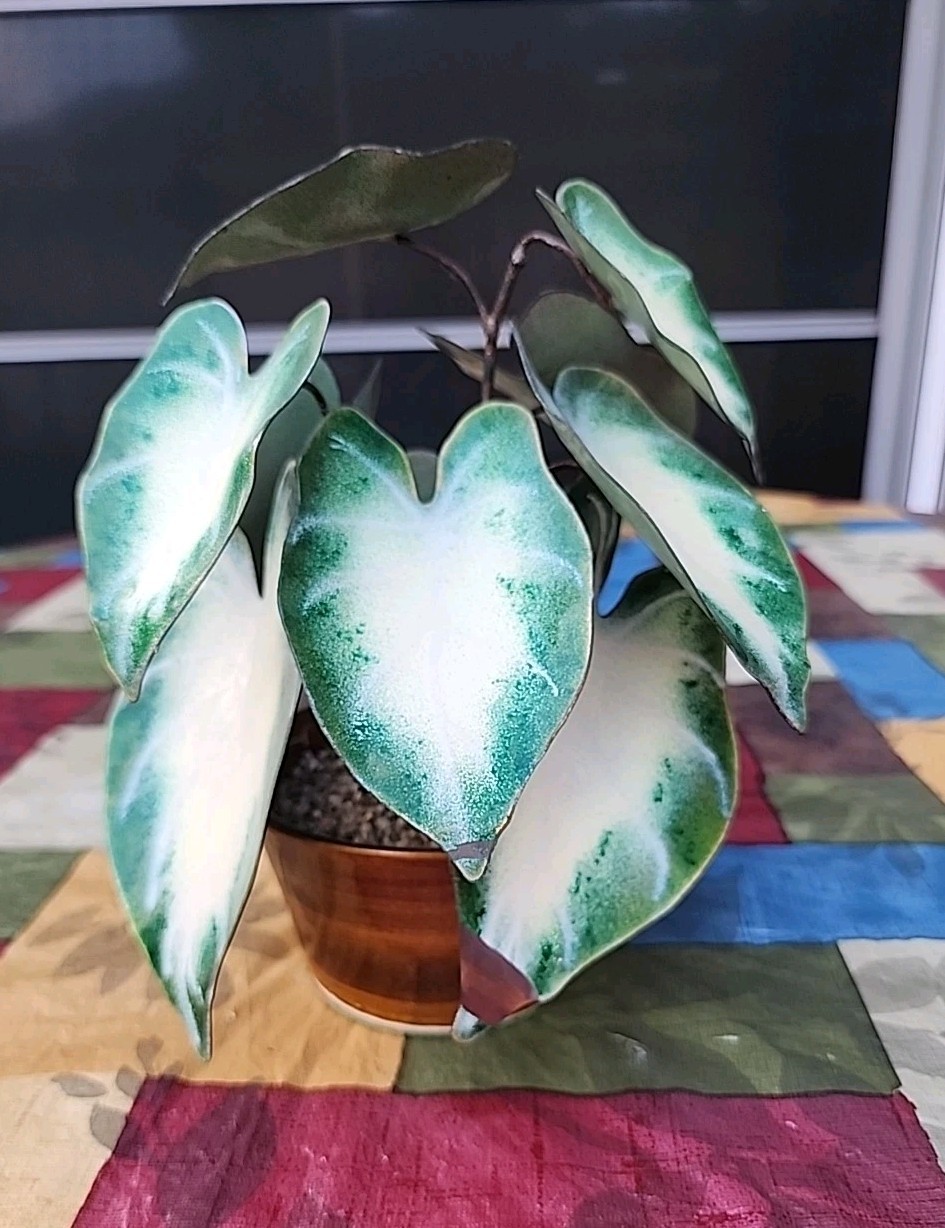 Vintage Enameled Metal Faux Variegated Alocasia Plant W Glazed Brown Pot *READ*