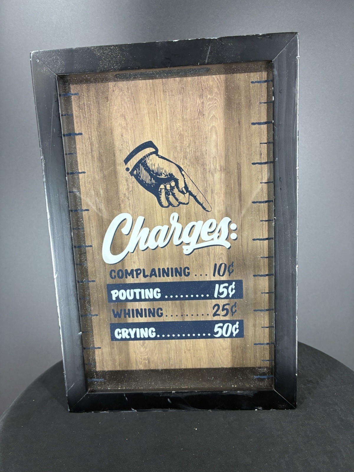 Rustic Novelty Framed Coin Box/Bank