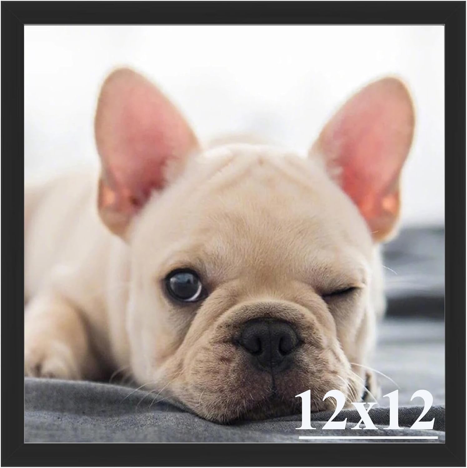 Sturdy and Stylish Black 12×12 Photo Frame – Easy Installation & Versatile Use