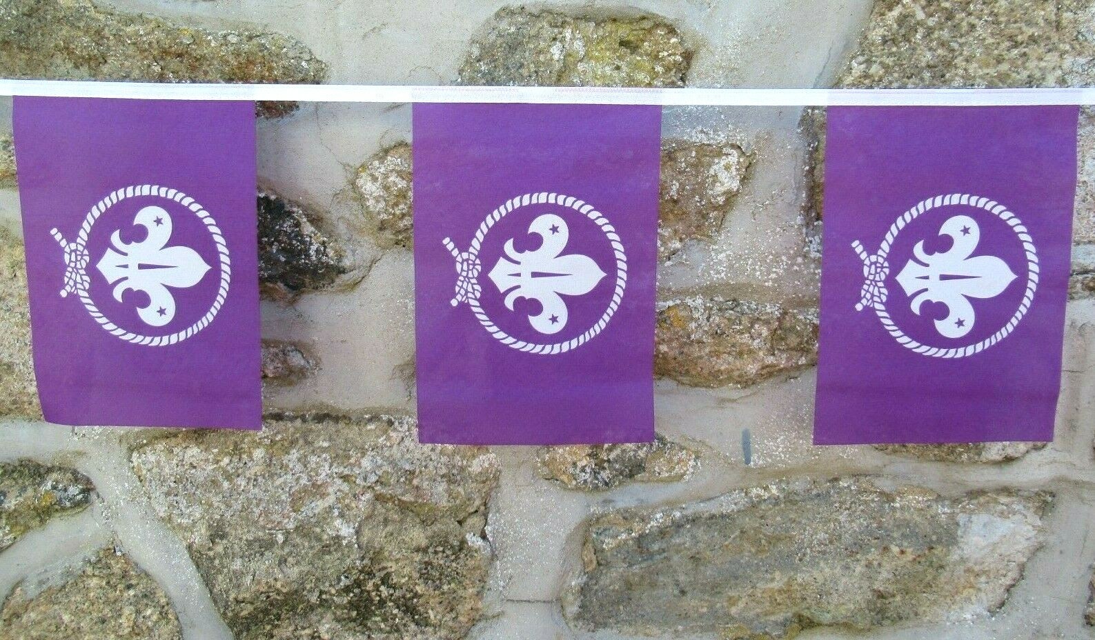 Scouts International Scouting Movement Flag Bunting – 6 Metre Length
