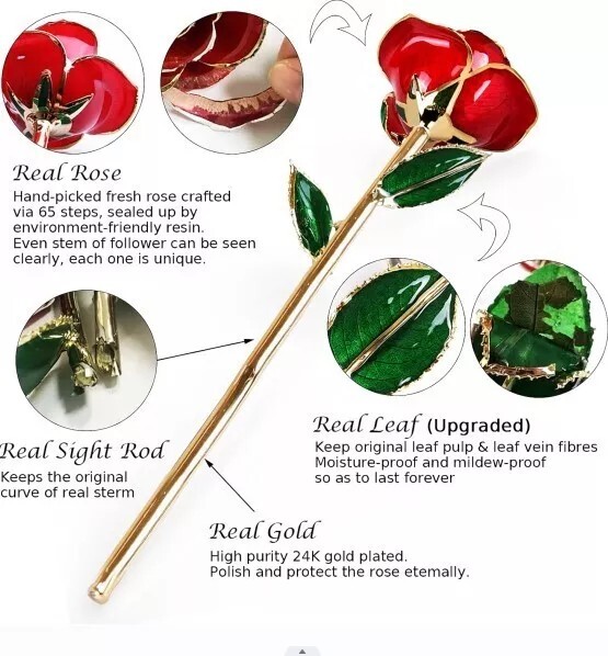 24K Gold-Dipped Real Eternal Rose – 10 Colors for Easter