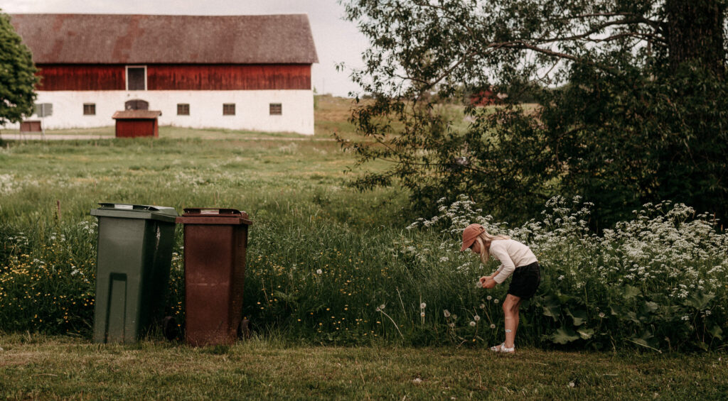 Flicka som plockar blommor med lada i bakgrunden